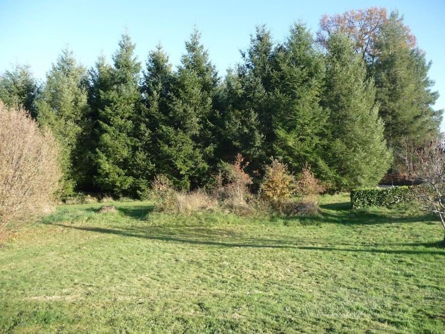 Gite Des Forces - Limousin - Haute Vienne Saint-Bazile Eksteriør billede